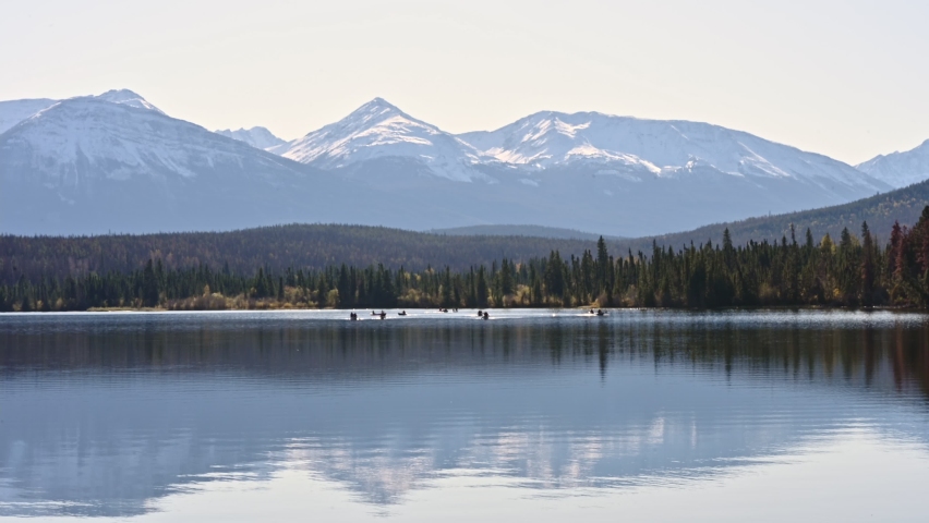 Group of tourists canoeing in the lake with Canadian Rockies at Jasper national park, Alberta, Canada