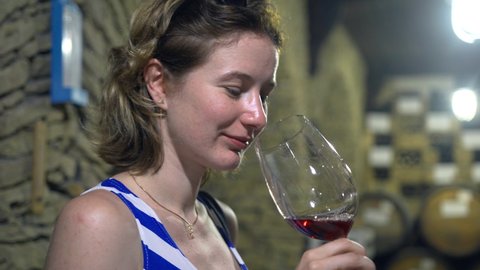 63 Funny Wine Tasting Stock Video Footage - 4K and HD Video Clips |  Shutterstock