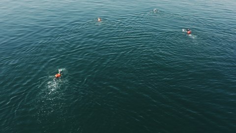 Swimmers exercising in open sea waters. People learn to swim in rough conditions of the oceanic stream. High quality 4k footage