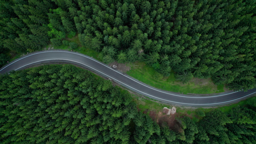 aerial view of the mountain road in a green forest (aerial, loopable)