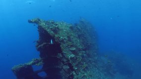 The famous Liberty ship wreck - underwater world of Tulamben, Bali, Indonesia. 