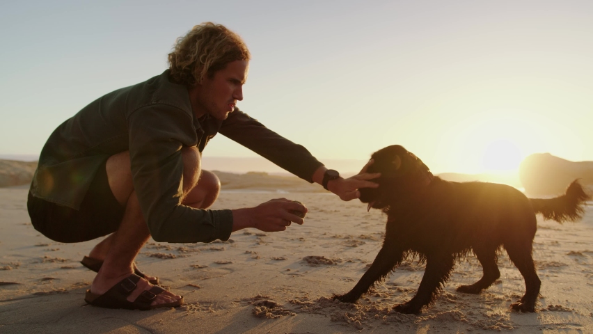 A young Caucasian male playing ball with happy dog on the beach during sunset. Male looking at his dog. High quality 4k footage