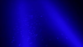 Dark blue sea, small fish swimming in the night, video, 4K