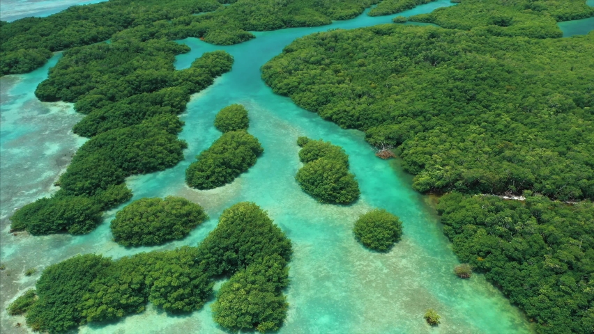 Aerial Drone pan of tropical mangrove islands in the Caribbean. Lush green trees with blue turquoise water. Belize, Central America. Royalty-Free Stock Footage #1076398298