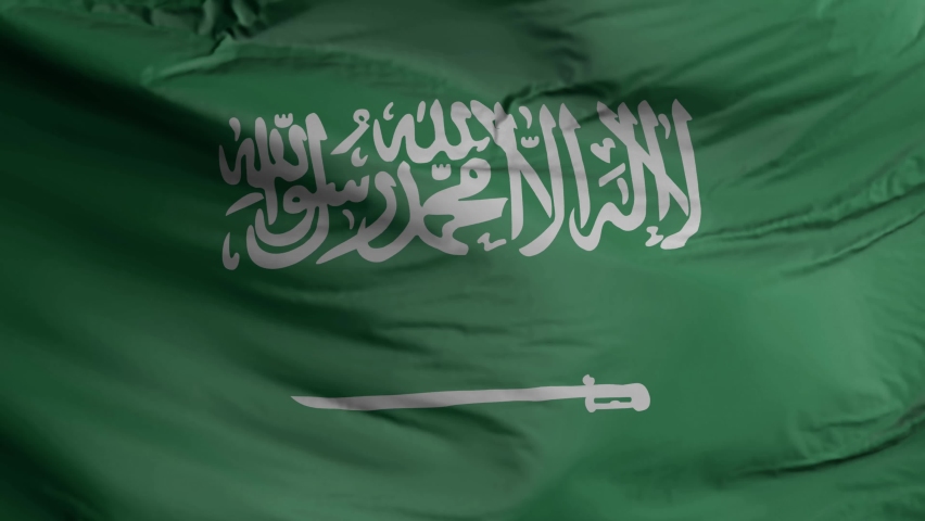 Saudi Arabia flag seamless closeup waving animation. Saudi Arabia Background. 3D render, 4k resolution | Shutterstock HD Video #1076411702