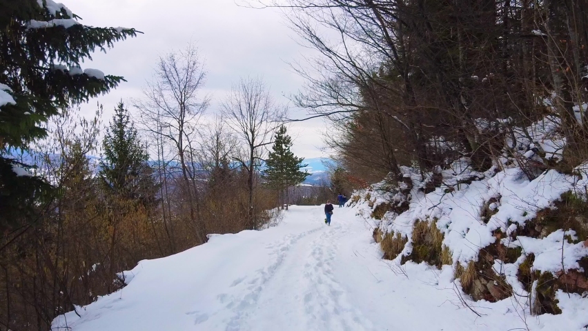 People walk on snowy pathway surrounded by trees on hill slopes in highland under sky with heavy clouds in winter aerial motion
