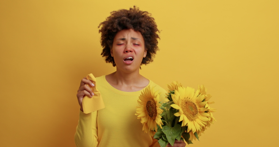 Displeased Afro American woman has allergy to sunflowers sneezes in napkin has runny nose red swollen eyes feels unwell wears jumper poses against yellow background. Health and symptoms concept