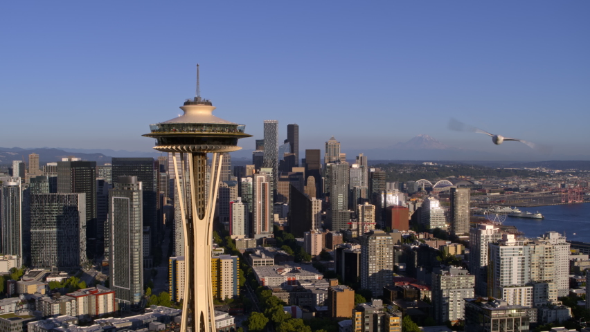 Seattle, WA  USA - July 18, 2021: Seattle city view featuring Space Needle and MT Rainer as seagull follows closely