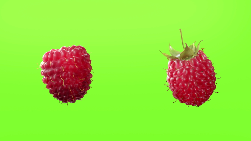 Raspberry isolated on green screen. 3D rendering  Royalty-Free Stock Footage #1076447831
