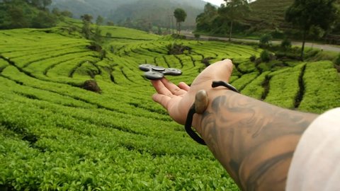 BANDUNG, INDONESIA - APRIL 17, 2017: Playing fidget spinner at green tea field.