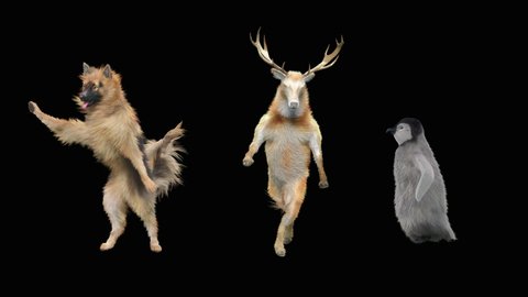
dog deer penguin Dancing CG fur. 3d rendering, animal realistic CGI VFX, Animation Loop, composition 3d mapping cartoon, Included in the end of the clip with luma matte.