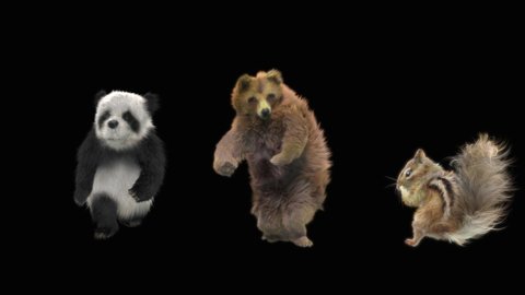 
bear panda chipmunk Dancing CG fur. 3d rendering, animal realistic CGI VFX, Animation Loop, composition 3d mapping cartoon, Included in the end of the clip with luma matte.