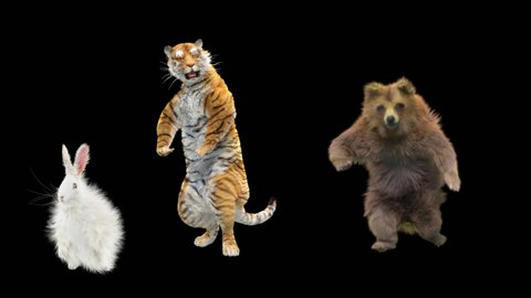 
rabbit Tiger bear Dancing CG fur. 3d rendering, animal realistic CGI VFX, Animation Loop, composition 3d mapping cartoon, Included in the end of the clip with luma matte.