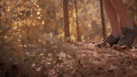 Close-up of the boy's feet are walking in the autumn sunny forest, mountainous terrain, slow motion, cinematic shot