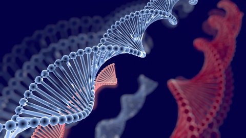 Abstract DNA 3D animation Hologram blue glowing rotating DNA double helix Science and medicine concepts. Seamless loopable background. dna reflections and backside blur on blue background
3D Rendering