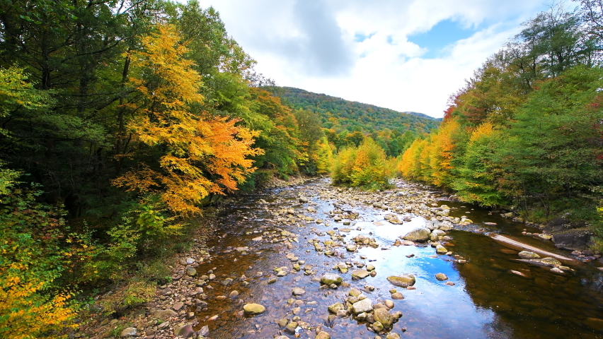 Vertical panning of flowing water at Red Creek near Dolly Sods, West Virginia with colorful autumn fall maple tree foliage at Canaan valley Appalachian mountains