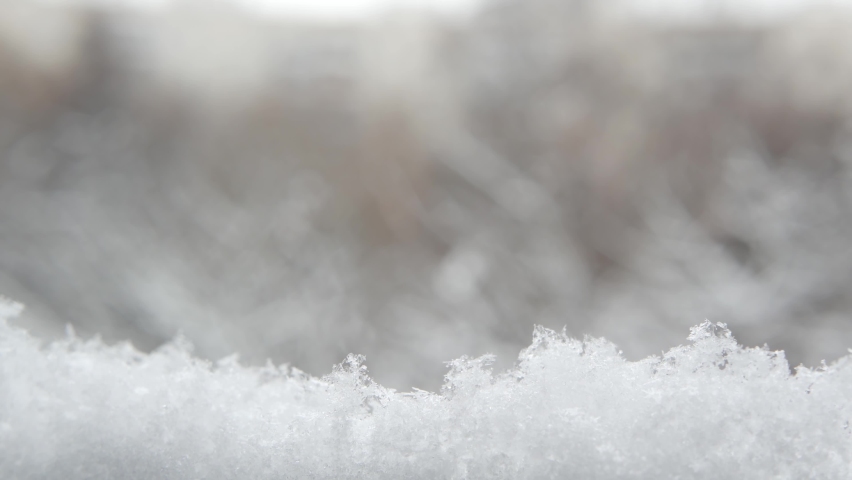 White snow flakes falling in winter, snowflakes of wintry Christmas snowfall. Cold snowy forest nature in december before New Year. Weather before snowstorm or blizzard. Seamless looped cinemagraph.