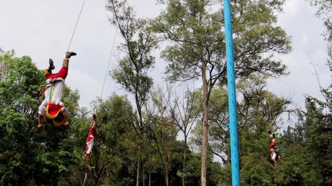 Mexico City, Mexico- June 2021: Papantla flyers moving upside down, as dictated by Totonac tradition so that fertility is favorable throughout the year, a tradition recognized by UNESCO.