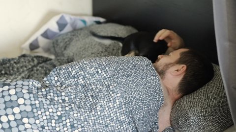 happy dog; in the morning in bed the puppy licks the owner; sweet friendship with pets