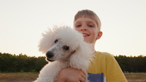 Pet care. Friend family. Holiday. Freedom. Lifestyle. Portrait of happy boy face with dog poodle holding him in arms smiling against background of field sunset in summer on vacation