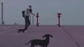 Brunette long hair girl in pink shirt and grey jeans, covid mask in pandemic time walking couple of small weiner dogs in an empty square or park. Atmospheric low key video.