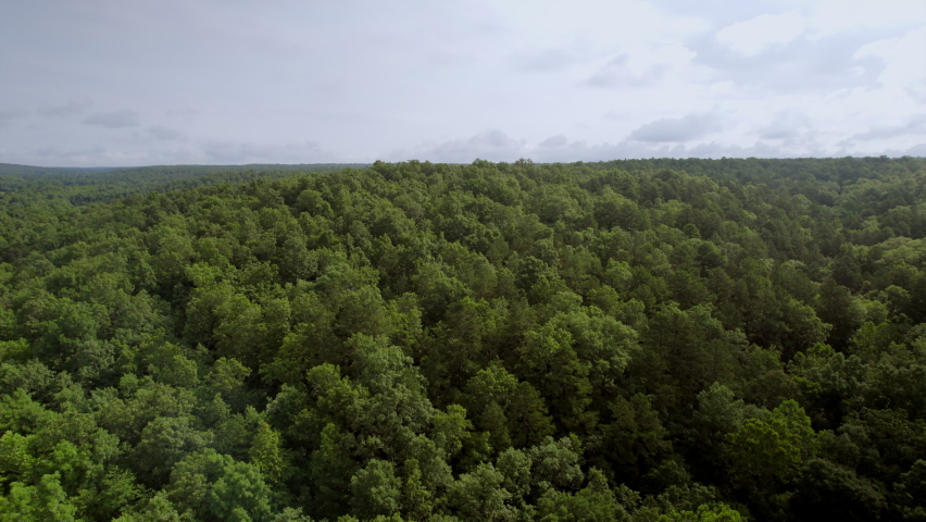 Rise over forest of trees and rolling hills in southern Missouri.
