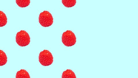 Stop Motion Animation. Ripe juicy organic raspberries appear and disappear against a blue background. Seamless video
