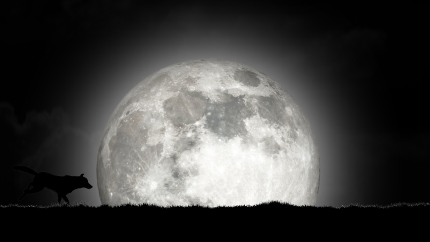 A Pack of Wolves Running on the grass at Rising Full Moon Background
