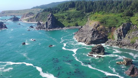 The nutrient-rich Pacific Ocean washes against the scenic yet rugged coastline of southern Oregon. This beautiful region of the Pacific Northwest is accessible via highway 101.