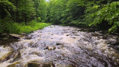 Drone footage of a trout fishing stream in the Catskill mountains after a day of rain. The Catskills are located in New York's Hudson valley and are part of the larger Appalachian Mountains