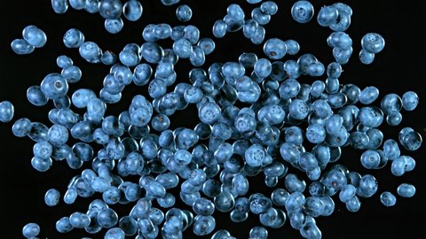 Super Slow Motion Shot of Flying Fresh Blueberries Isolated on Black Background at 1000 fps.