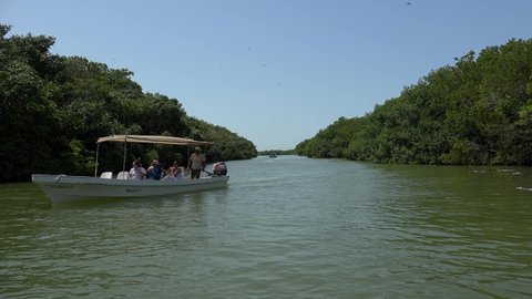 Ria Lagartos, Yucatan, Mexico - APRIL 05, 2019:
Tourists observing local flora and fauna from the Boat Tour.