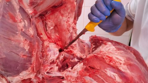 Butcher man work on debone smashing beef steak meat using safety gloves,food manifacturing