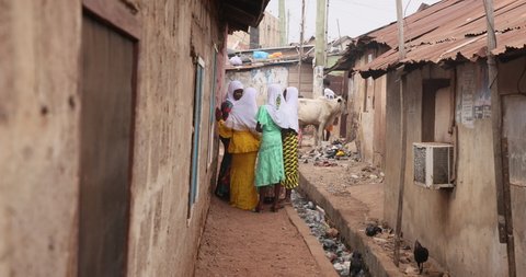 NIMA, GHANA - 20 JUL 2021: Young Muslim girls by home narrow alley cow Accra Ghana. Eid al Adha festival Accra Ghana. Animal sacrifice to end Islam holy month of Ramadan Eid ul Adha for Islam.