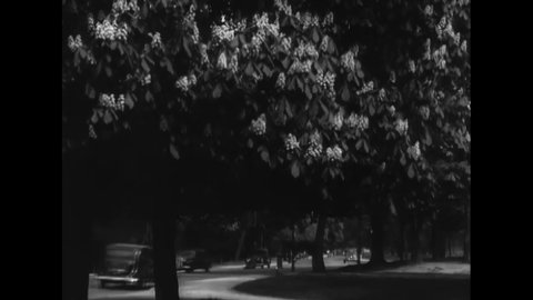 1930s - Cars drive past floral trees in Paris, France.