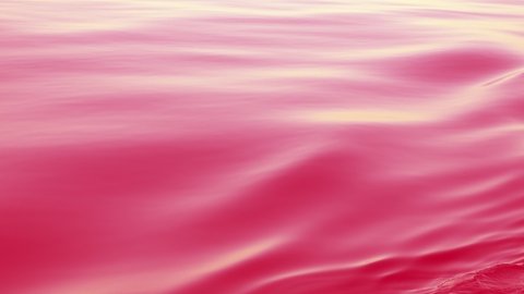 Pink wavy background. The sea level moves smoothly and forms a ripple. Nature is peaceful and serene, the deep blue North Pacific Ocean. Taken on a cruise ship.
