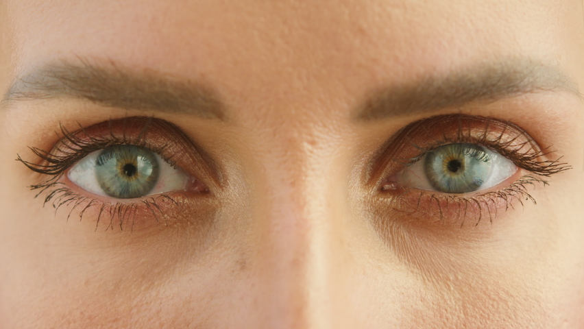 Young woman eyes close-up, painted eyelashes, female model with beautiful face looking in camera. Glance of businesswoman person. Make-up, cosmetics, beauty and vision concept. 