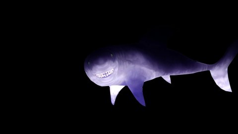 A shark swims from right to left on a black background. 3d rendering of a blue shark.