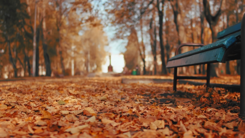 Wind blows away dry orange leaves near bench in autumn park. Golden foliage in late fall. End of summer concept. Beautiful nature. Low angle shot from below. Royalty-Free Stock Footage #1076688647