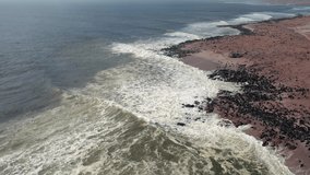 Flight over fur seals colony at the Cape Cross in Atlantic ocean coast, Namibia, Africa. UHD 4k drone video