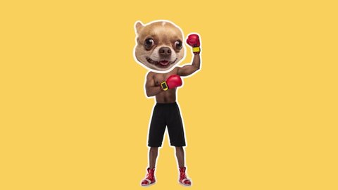Stop motion design or art 2D animation. African american man with dog head boxing during training over color background. Funny comic boxer. Conceptual, contemporary 4k collage. Digital composite video