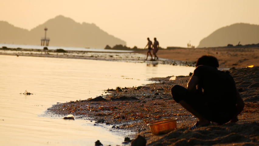 Thai man collects edible clams on the seashore. Sunset