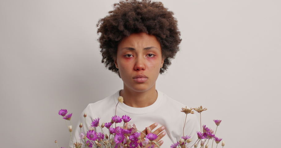 Discontent Afro American woman experiences unpleasant symptoms because of allergy sneezes constantly holds bouquet of wildflowers has runny nose and swollen eyes isolated over white studio wall Royalty-Free Stock Footage #1076723717
