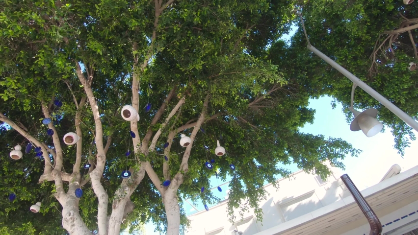 Decorated trees along Bodrum Aegean Sea promenade, Turkey. Mediterranean architecture
