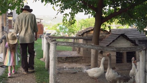 Small family organic poultry farming. Farmer with his daughter. Goose duck chicken pheasant. Outdoor domestic bird pen. Animal husbandry