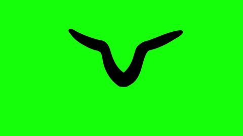 Bird flying on green background. Isolated simple contour animal character with moving wings. Seamless loop.