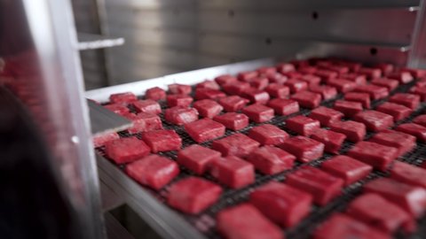 Production of dog food. Drying meat. Drying meat in an oven in a butcher's shop. The sliced meat is dried in a special dryer.