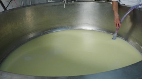 Pumping out the whey from the curds in a stainless steel reservoir - phases of making cheese in a small dairy, timelapse