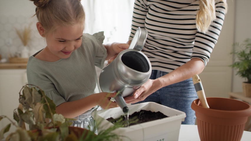 Video of cute little girl watering compost. Shot with RED helium camera