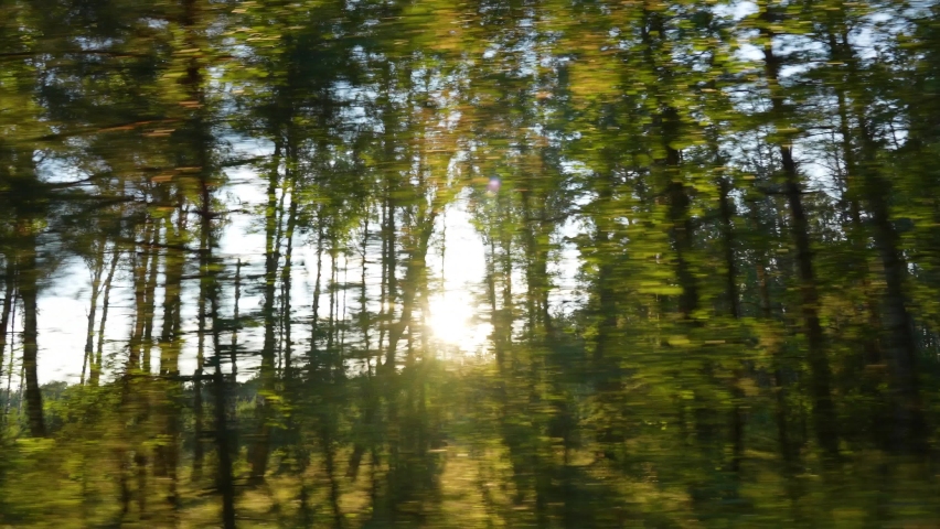 Dark silhouettes of evening old tall trees passing by fast as seen from driving car. Soft gold sunset sunlight in background. Countyside of Ukraine. Sun set landscape of Ukraina Royalty-Free Stock Footage #1076759492